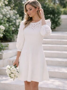 Express Size L White Eyelet Puff Sleeve Dress NWT Fit Flare Feminine Chic